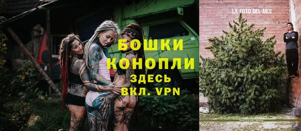 мдпв Лихославль