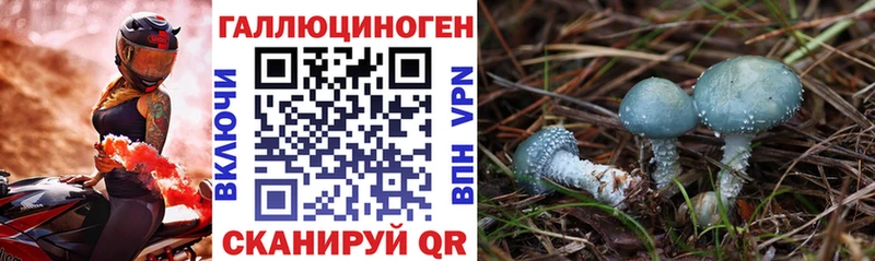 Псилоцибиновые грибы ЛСД  Сегежа 