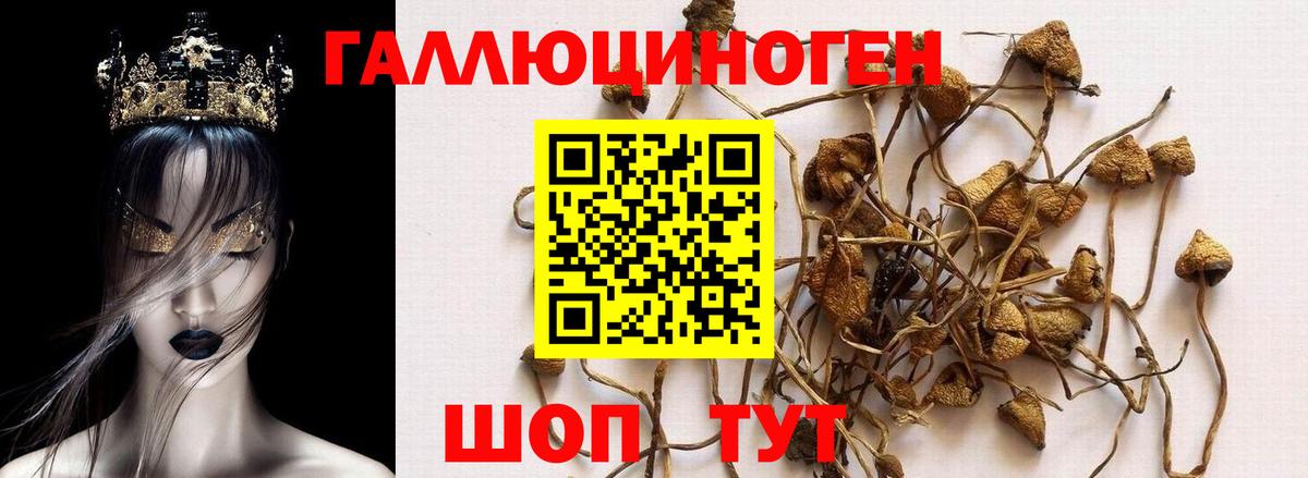 Cocaine  МАРИХУАНА  Каннабис  Сегежа  Меф МЯУ МЯУ кристаллы  ГАШИШ  НБОМе  Гашиш  Вход с VPN 