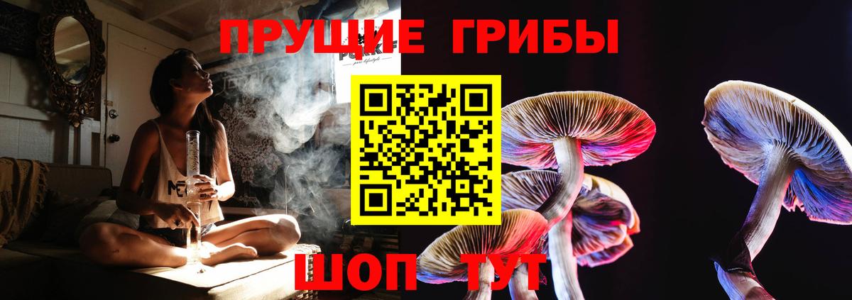 Сегежа  цены наркотик  Вход с VPN  Галлюциногенные грибы Cubensis 
